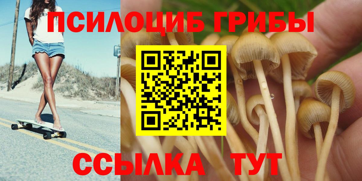 Галлюциногенные грибы Magic Shrooms  Вход с VPN  Красноярск 